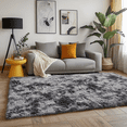 thumbnail image 3 of Blarity Area Rugs for Living Room, 6x9 Area Rugs for Bedroom, Soft Fluffy Rug with Anti-Skid Backing for Indoor Home Floor, Room Decor Carpet, Tie-dyed Black & Grey, 3 of 4