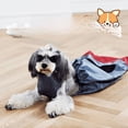 thumbnail image 1 of Parálisis de miembros posteriores, discapacidad, pierna rota, perro mascota, ropa, bolsa de arrastre, protección, antiarañazos, abrasión, silla de ruedas para perros, bolsa de interior a juego, 1 of 4