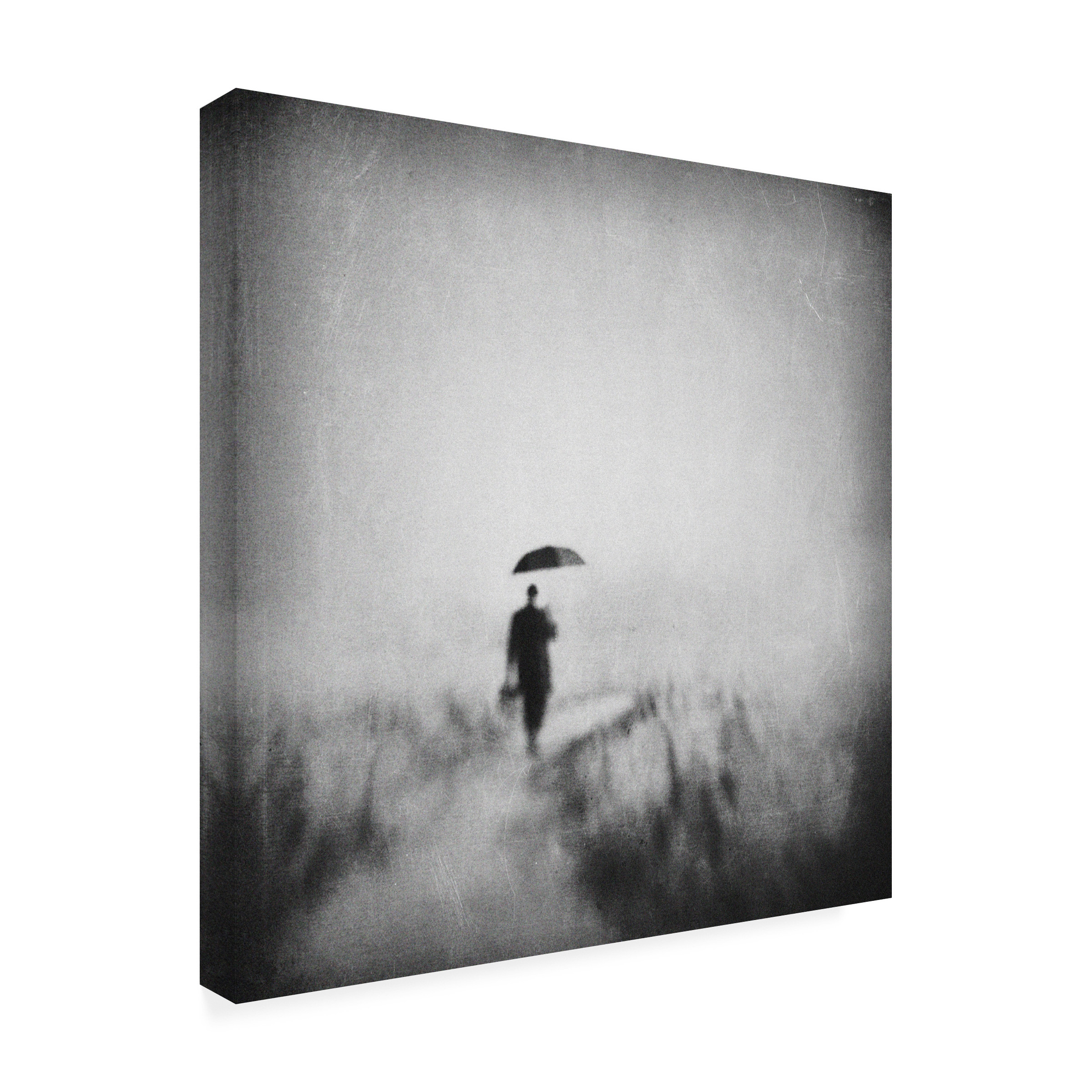Canvas Wall Art - Delphine Devos 'Winding Road' Wall Art for Living Room, Bedroom, or Office DÃ©cor by Trademark Fine Art - 24 x 24 Inches