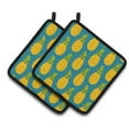 thumbnail image 1 of Carolines Treasures BB5145PTHD Ananas sur une Paire de Porte-Pots, 1 of 3