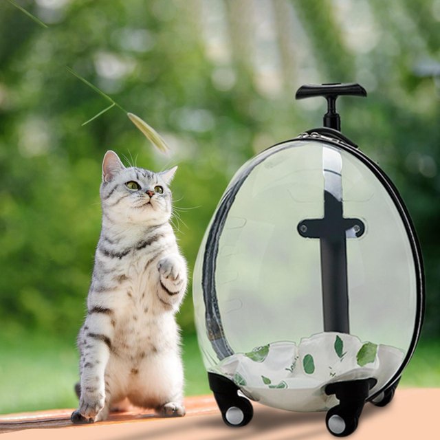 Maleta transportadora para , bolsa transportadora para mascotas con cápsula para perros y , transportadora para Salvador Dali Caja de la carretilla