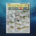 thumbnail image 3 of Fishermen's Freshwater Fish Identification Set - Waterproof Quick Reference Guide | Portable  Built to Last | Double-Sided  Easy to Read, 3 of 11