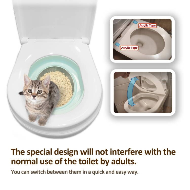 Can a cat be trained to use the toilet hot sale