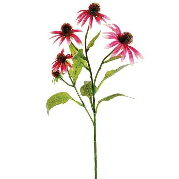 Allstate Floral & Artisanat FSE204-CE 29 in. Echinacea Spray&44; Cerise - Pack de 12