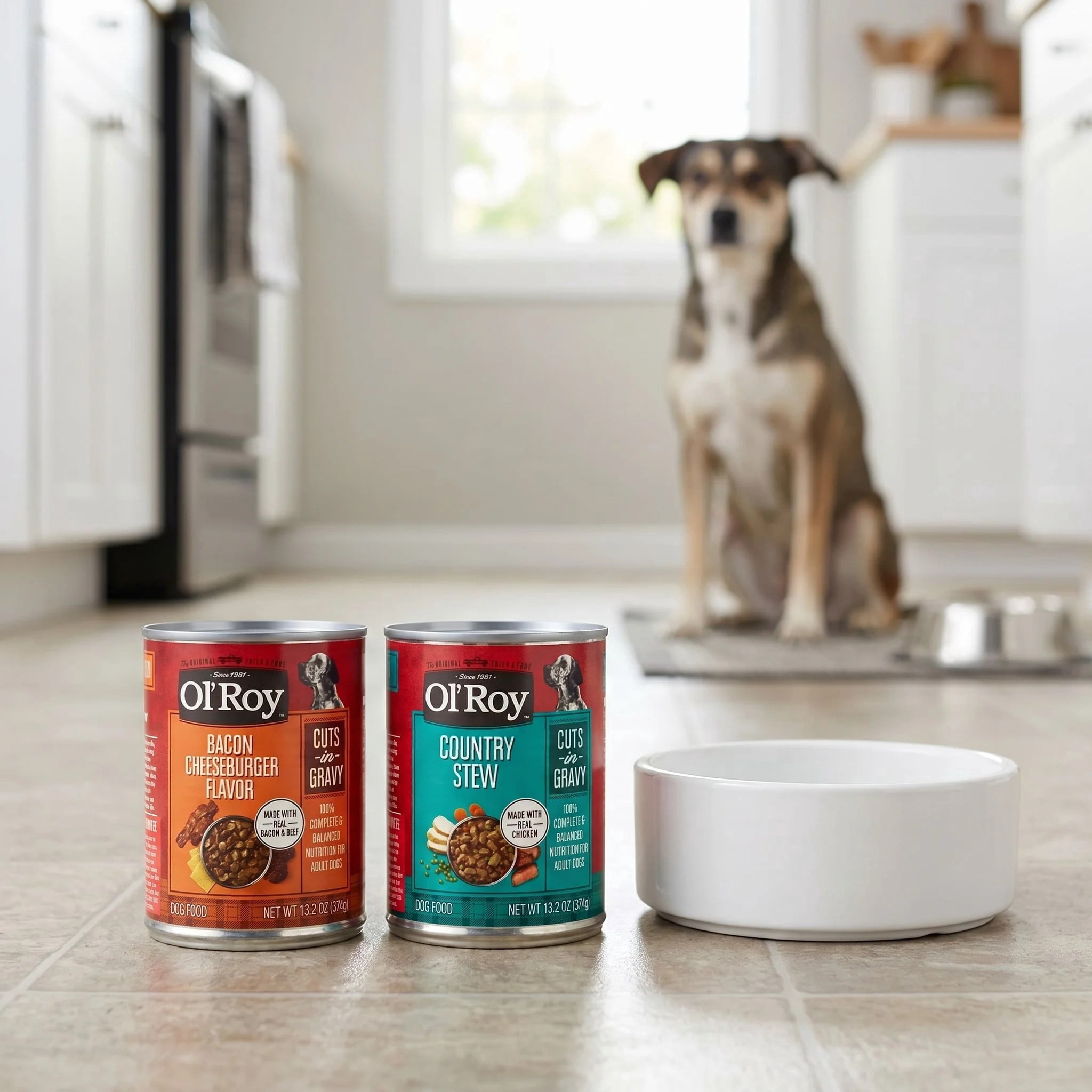 (6 pack) Ol' Roy Bacon Cheeseburger and Country Stew Cuts in Gravy Wet Dog Food Variety Pack, 13.2 oz Cans, 12 Pack