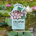 thumbnail image 2 of Mascarilla facial TONYMOLY I'm Lotus Luminating Hydrating, 2 of 2