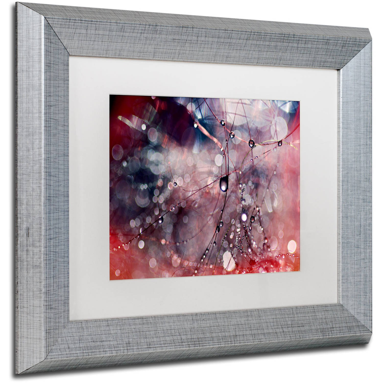 Trademark Fine Art "Outside the Box" Canvas Art by Beata Czyzowska Young, White Matte, Silver Frame