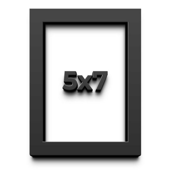 Shadowbox Gallery Wood Frames - Black, 16 x 20