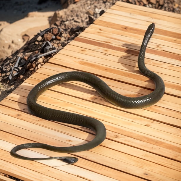 Broma De Serpiente Falsa Realista Con Clip Y Cuerda, Juguete Que Persigue A La Gente, Susto Inofensivo Para Adultos, Ideal Para Fiestas Y Bromas Prácticas