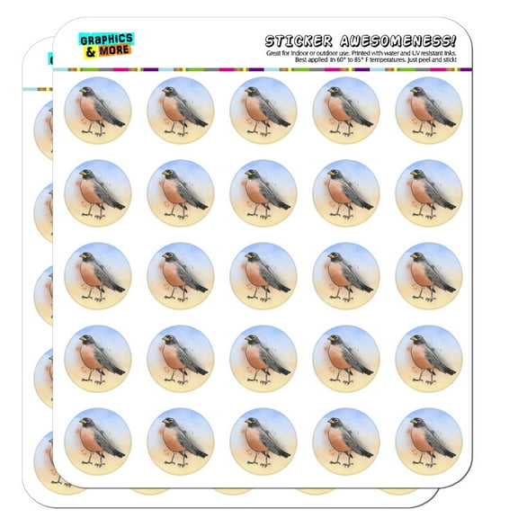 Robin Watercolor Northeastern Bird Planner Calendar Scrapbooking Crafting Stickers