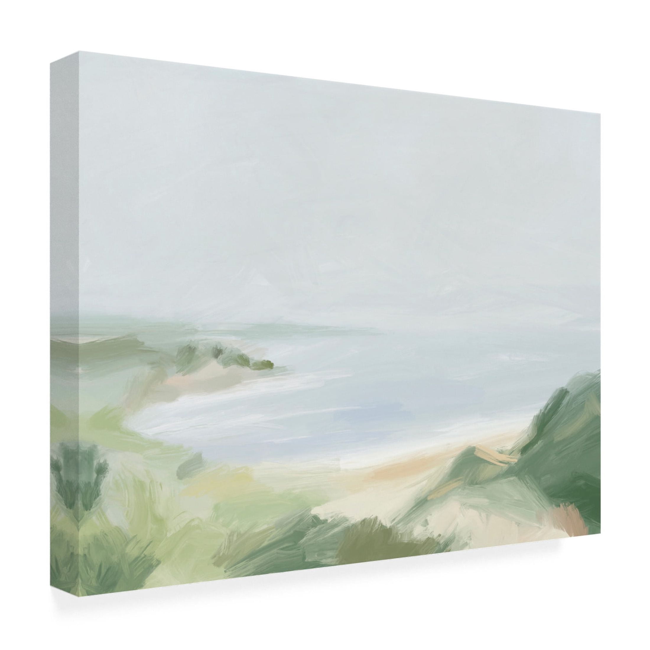 Trademark Fine Art Victoria Barnes  Soft Cliffside I Canvas Wall Art