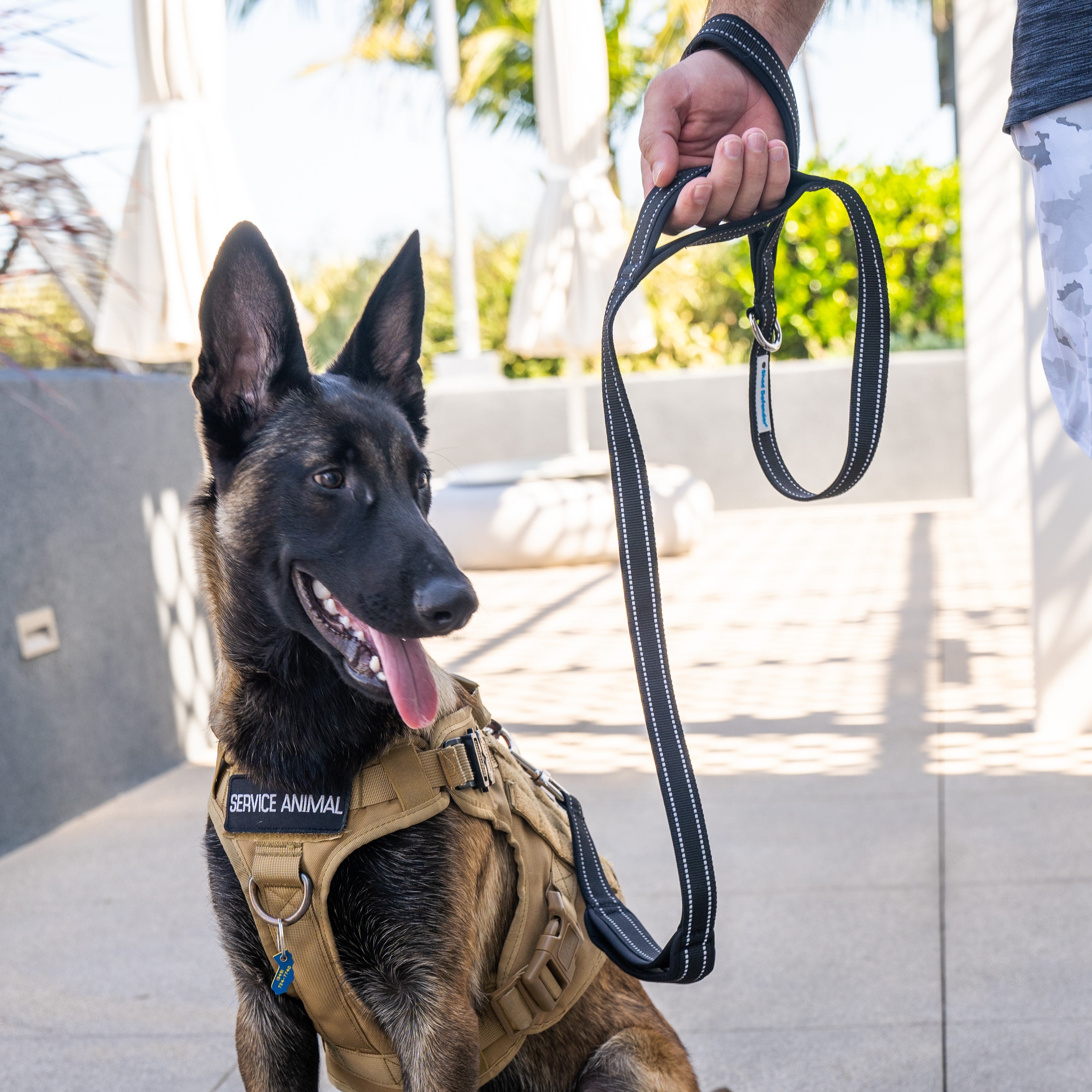 Shed Defender 5 ft. Leash - Three Padded Handles - Dual Layered Thickness for Extra Strength - Reflective Stitching 5 ft. for Large & Small Dogs - Training Lead