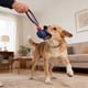 thumbnail image 1 of Pelota de neumático para mascotas con cuerda elástica, juguete de entrenamiento para perros, pelota para masticar y morder, perfecta para juego interactivo, molares de goma., 1 of 6