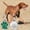 Green#574, variant on RuiJiao Personalized Pet Tag Dog Tag Tag Alloy Metal Glitter Dog Tag Blank Dog Tag Pendant Engraved Pet Accessory