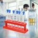thumbnail image 4 of 1 conjunto de tubos de ensayo de tubo de tubo de laboratorio de plástico con tapón, 4 of 5