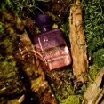 thumbnail image 5 of Perfume Boy Smells Woodphoria, 50 ml, unisex, 5 of 5