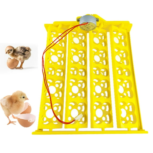 Bandeja para incubadora de huevos perfecl giratoria para aves de corral 16 huevos 32,5 cm x 29 cm x 12 cm