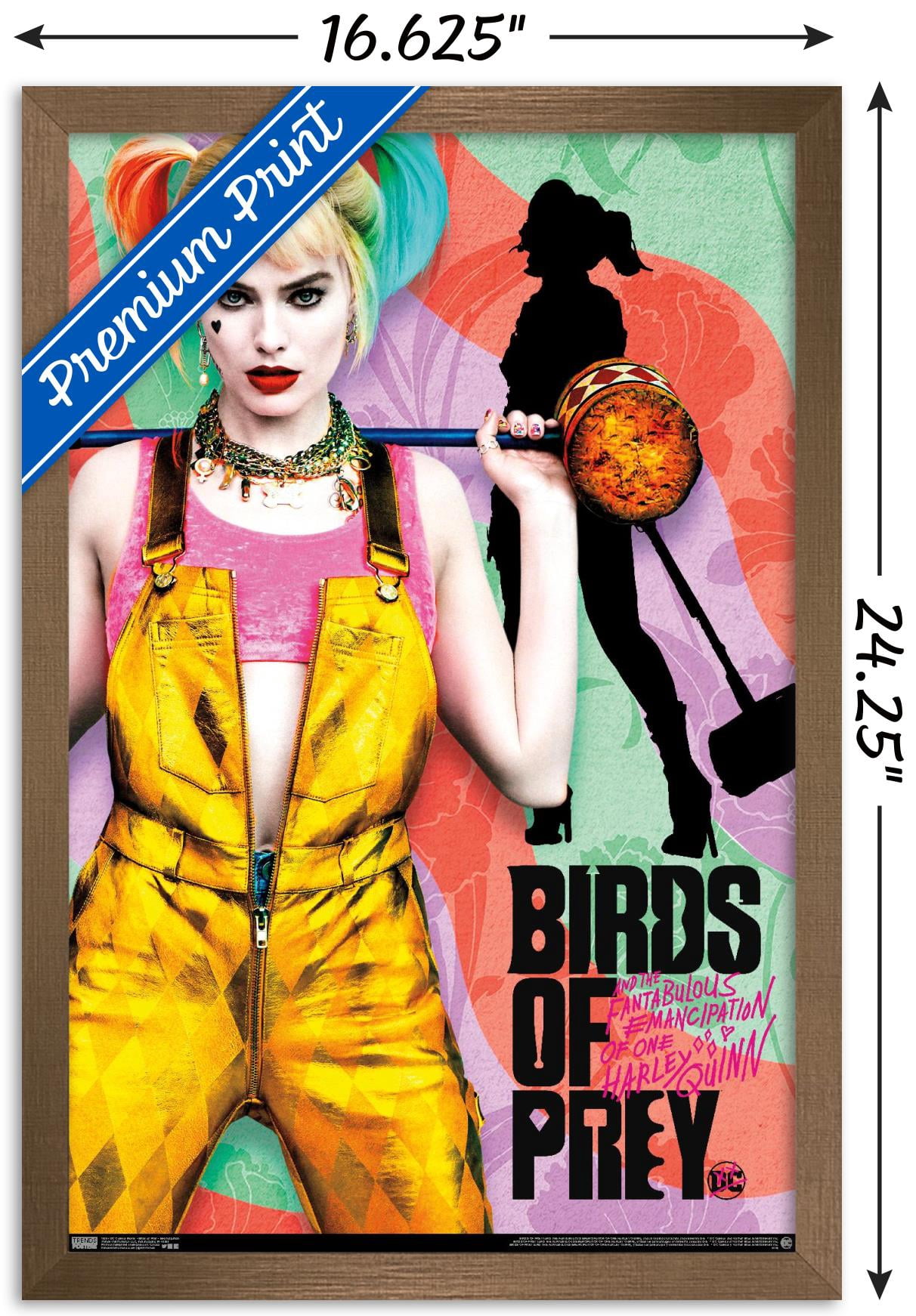 DC Comics Movie - Birds of Prey - Emancipation Wall Poster, 14.725" x 22.375", Framed
