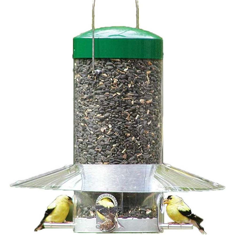 Birds Choice Green 12in Classic Hanging Bird Feeder for Cardinals