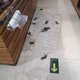 thumbnail image 3 of 1,2 m Invisible Sticky Rat Board Manta de control de ratas Pegatina fuerte para ratas 5 paquetes, 11 kaili Sencillez, 3 of 4
