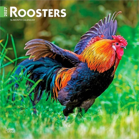 Roosters | 2027 12x24" (Hanging) Wall Calendar | Plastic-Free