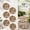 12" Roundness, variant on Natural River Rock Garden Pavers, Set of 6 Hexagon Round Pebble Stones for Walkway, Yard, Lawn, Patio, Pathway & Landscaping Decor