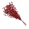 thumbnail image 1 of Naiovety Navidad Artificial Decoración Accesorios de fotografía Espuma de plástico Simulación Bayas Adorno para fiesta de boda Rojo Type3 NO3 Naiovety HA062849-01, 1 of 6