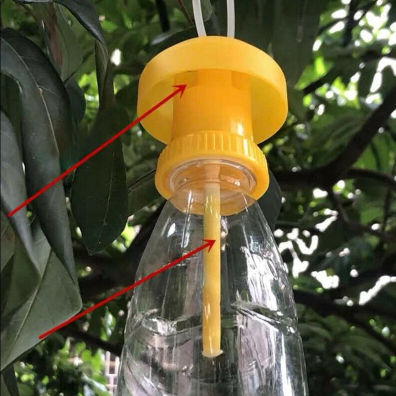 2Pcs Fruit Fly Trap Killer Plastic Trap Catcher Insect control Farm OrchardB`CA