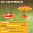 thumbnail image 3 of Birds Choice 12 oz. Oriole-Fest Feeder with Weatherguard, Orange, 3 of 11