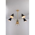 thumbnail image 1 of Control Brands LN6495BLK Lustre Pajak&44; Noir et Or, 1 of 1