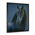 thumbnail image 2 of Designart 'Frisian Black Horse Portrait' Farmhouse Framed Art Print, 2 of 4