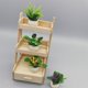 thumbnail image 1 of plantes En Pot Pour Maison De Poupe 4pz Dcorations De Pots De Fleurs Miniatures Dcorations De Conte De Fes Miniatures Maison De Poupe, Intrieur, B, 1 of 5