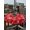 Red, variant on Outdoor Tablecloth with Umbrella Hole and Zipper, Black White Snowflake Christmas Round Table Cloth 60 Inch Waterproof Tablecloth, Winter Xmas Snowflakes Picnic Table Cover for Patio Camping