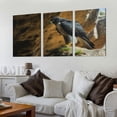 thumbnail image 2 of COMIO Large Framed Wall Art Ready to Hang Peregrine Falcon Canvas Print Artwork Wall Art Painting Pictures Home Office Wall Décor Modern Poster 12''x16''X3 Panels, 2 of 4