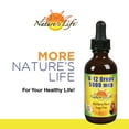 Nature's Life Vitamin D2 2000IU High Potency Ergocalciferol