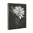 thumbnail image 3 of Stupell Industries Blooming Dahlia Flower Black Background Painting Luster Gray Floating Framed Canvas Print Wall Art, Design by Nina Blue, 3 of 6