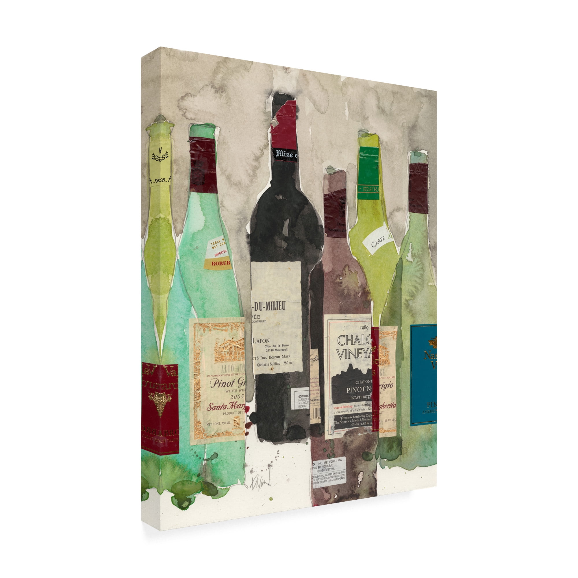 Trademark Fine Art 'Red or White I' Canvas Art by Samuel Dixon