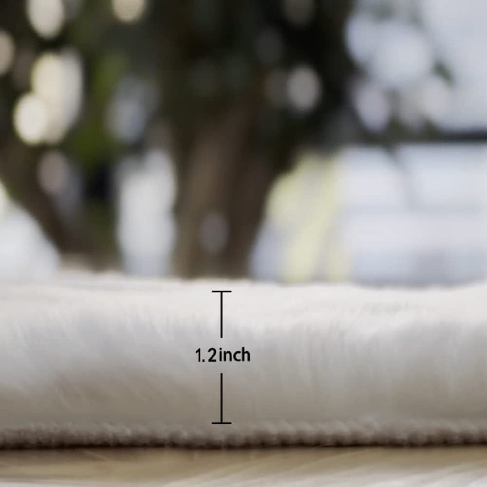 ORINOVA White Rug 8x10 Washable Rug for Living Room Faux Fur Area Rug For Bedroom Fluffy Rugs Teen Room Rectangle Rug