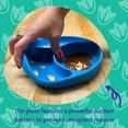 thumbnail image 5 of Silly Goose Suction Plate for Babies and Toddlers, Cute Brown Bear Design, 100% Silicone, Plate Stay Put with Suction Feature, Divided Design, Microwave & Dishwasher Friendly, 5 of 7