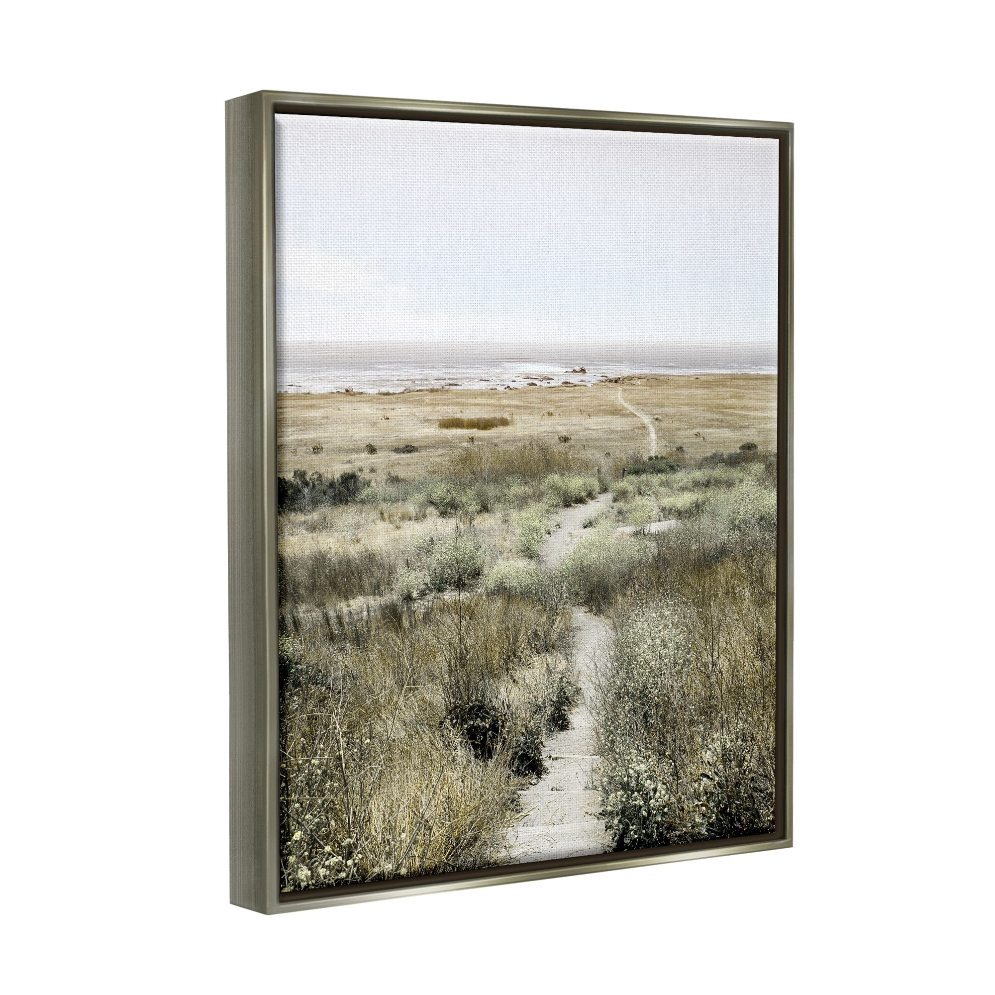 Stupell Industries Distant Shoreline Grassy Beach Path Cloudy Horizon Luster Gray Framed Floating Canvas Wall Art, 24x30, by Danita Delimont