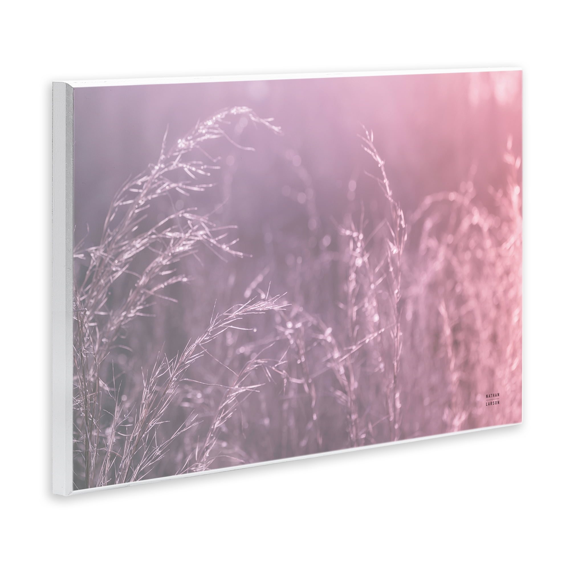 Stupell Industries Pink Meadow at Dawn Wall Plaque Art, design by Nathan Larson