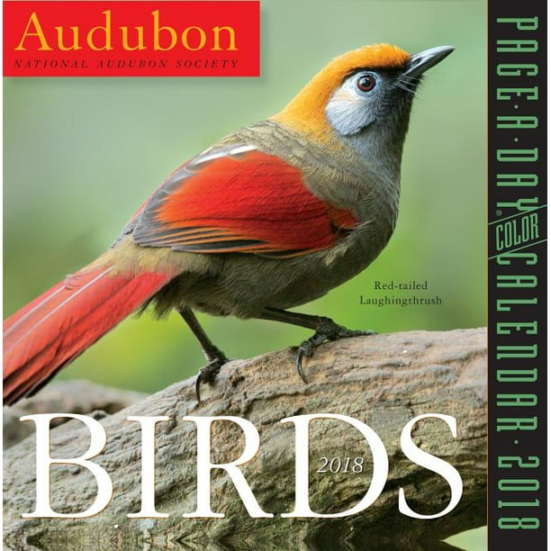 audubon-birds-page-a-day-calendar-2018-other-walmart-walmart