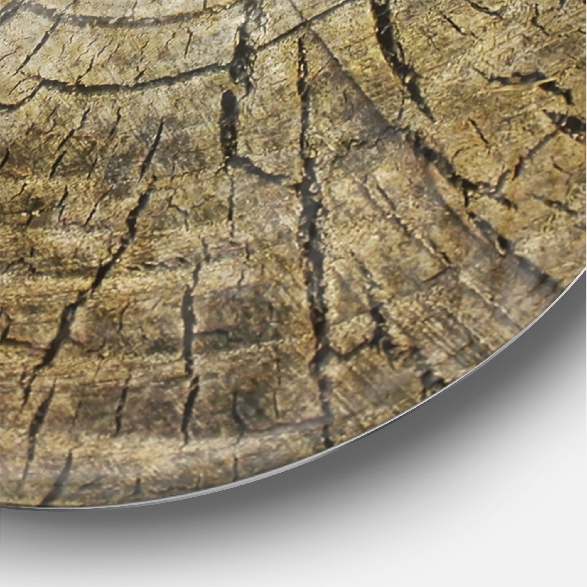 Designart 'Aging Eyes ' Farmhouse wall clock