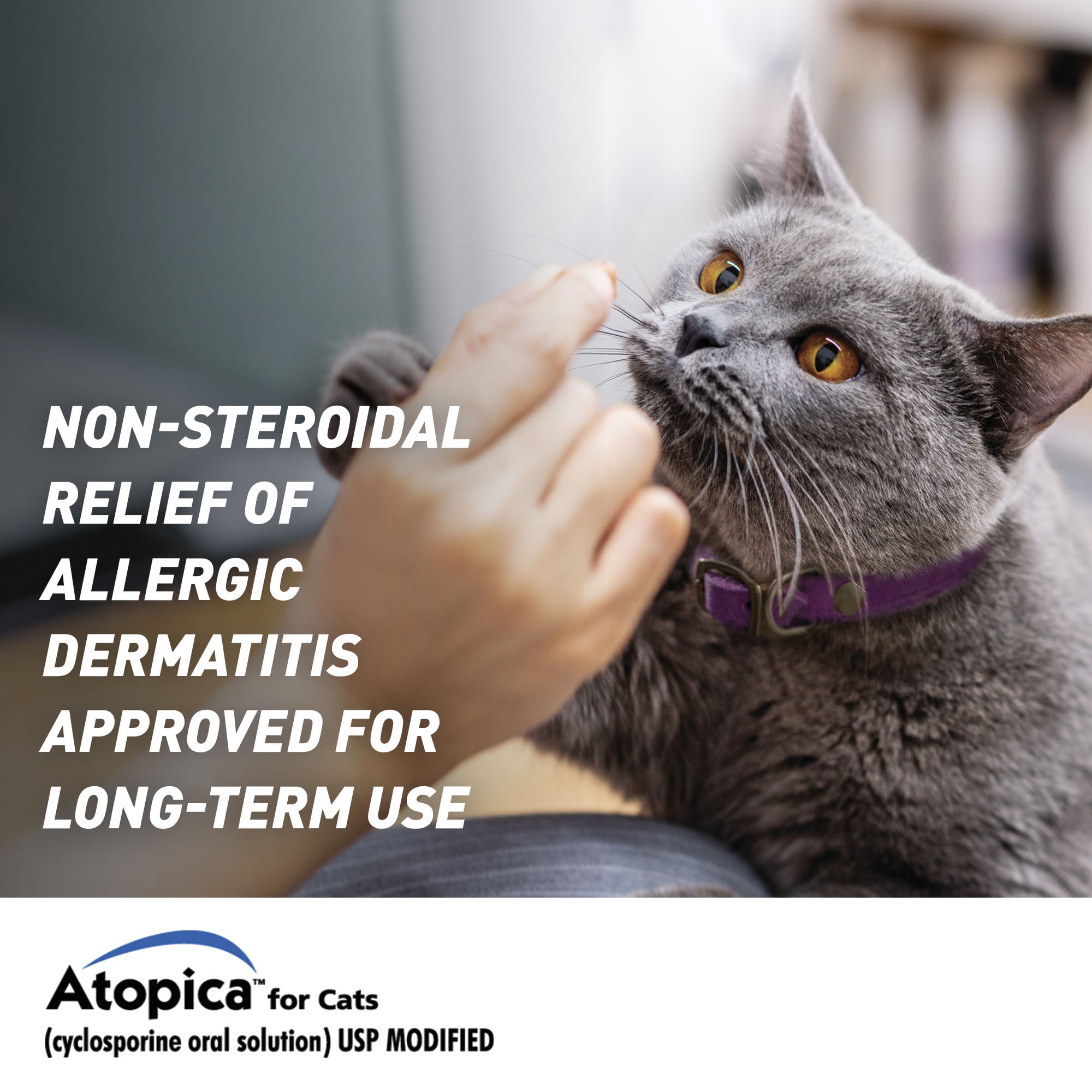 Atopica Cat Atopica for Cats | Allergic Dermatitis Treatment | Cat Itch Relief | Oral Solution | 17 ml