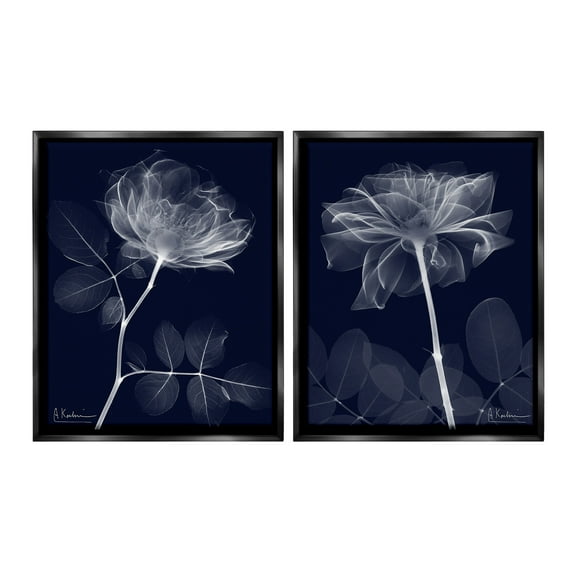 Stupell Industries X-Ray Blossom on Black Botanical & Floral Photography Black Floater Framed Canvas Art Print Wall Art, 17 x 21, Set of 2