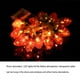 thumbnail image 5 of Cateissary Navidad Halloween Lámpara de tira colgante Tienda de campaña Atmósferas Iluminación para el hogar Jardín al aire libre Iluminación navideña 3 metros 20 luces Cateissary HA068938-03, 5 of 6