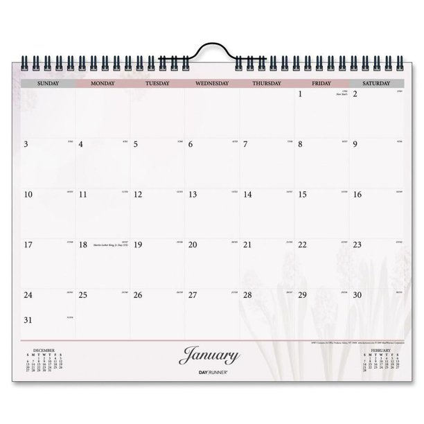 Day Runner Nature Dated Monthly Wall Calendar