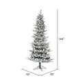 thumbnail image 2 of Vickerman 12' x 70" Flocked Kiana Artificial Christmas Tree, Unlit, 2 of 2