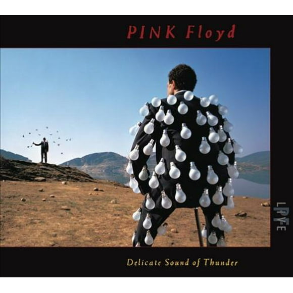 PINK FLOYD Son Délicat du Tonnerre (LIVE) (DIG) Disques Compacts