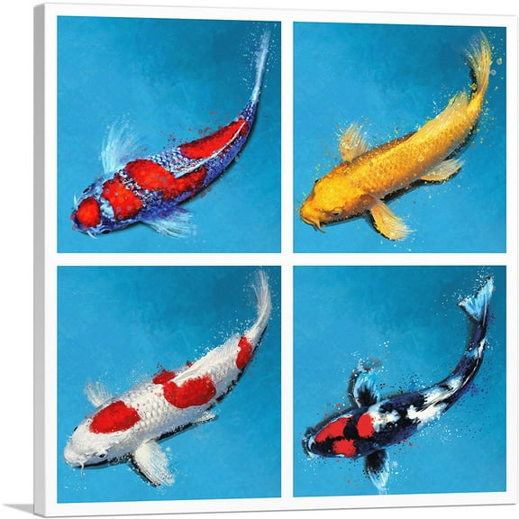 ARTCANVAS Hikarimoyo Hikarimuji Kinginrin Showa Koi Carp Fish Canvas Art Print - Size: 18" x 18" (0.75" Deep)